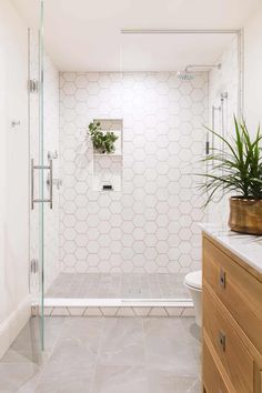 a white tiled bathroom with a plant in the corner and a glass shower stall door