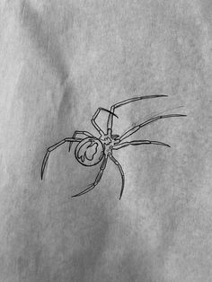 a black and white photo of a spider on a piece of paper with writing underneath it