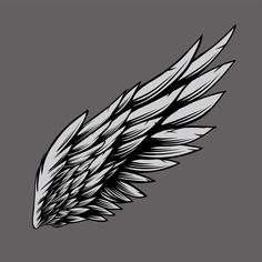 an artistic black and white drawing of a wing