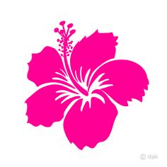 a pink flower on a white background