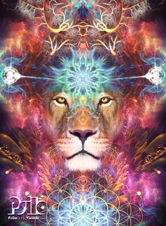 a lion's face surrounded by many different colors