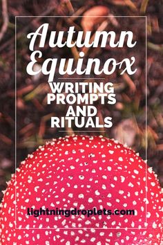 Mabon for Writers
Creative Writing Prompts for a Magical Fall Fall Equinox Journal Prompts, Mabon Journal Prompts, Autumn Journal Prompts, Autumn Equinox Party, Mabon Activities, Autumn Equinox Celebration, Fall Rituals, Pagan Thanksgiving, Mabon Crafts