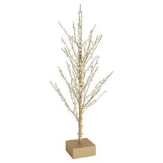 a small tree with white branches in a wooden box on a white background for decoration