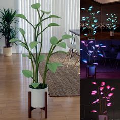 the plant is lit up with pink and blue lights in it's centerpieces