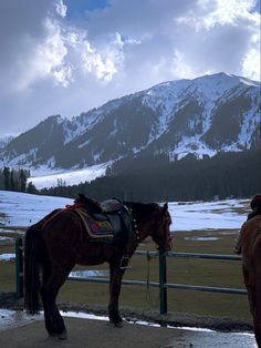 a brown horse standing on top of a snow covered field