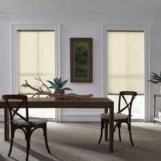 a dining room table with chairs and two plants on top of it in front of three windows