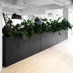 an office with plants in the middle of it