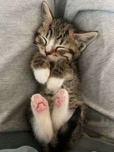 a small kitten sleeping on top of a gray couch next to a persons legs and feet