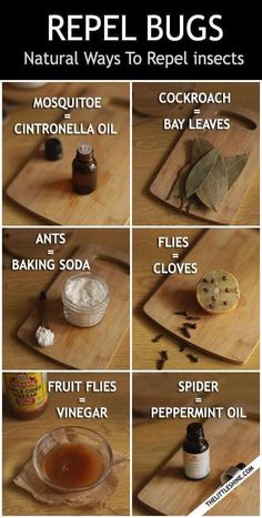 the instructions for how to make repel bugs on a cutting board with herbs and other ingredients