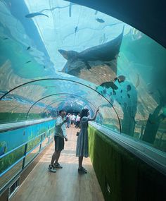 two people are standing in front of an aquarium looking at the fish and other animals