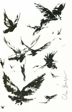 a drawing of birds flying in the air