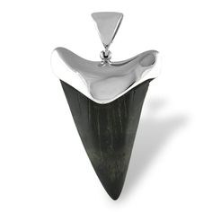 PRICES MAY VARY. Genuine fossil shark tooth, hand crafted into a fine sterling silver cap set pendant. These fossil teeth are mixed, the exact species is not specified. The pendant you receive will include a fossil tooth from either a Megalodon, Carcharocles angustidens, or Mako shark. These high-quality fossil shark teeth are found in South Carolina and are 2.6 to 66 million years old. We skillfully handcraft each pendant one at a time, the stylish cap setting with hinged bale is made of 925 Fi Tooth Cap, Relationship Necklaces, Teeth Caps, Shark Tooth Pendant, Mako Shark, Jewelry Hooks, Fossil Teeth, Stylish Caps, Blue Topaz Pendant