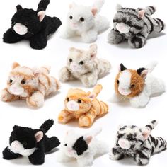 small stuffed animals are arranged together on a white surface with one cat in the middle