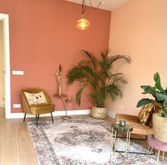 Peach Colour Room Bedrooms, Peach Color Interior Design, Peach Living Room Decor, Peach Colored Rooms, Peach Living Room, Terracotta Interior Design, Peach Living Rooms, Yoga Room Design, Lounge Inspiration