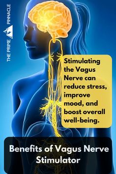 Experience the natural health benefits of vagus nerve stimulators! These non-invasive devices are designed to stimulate the vagus nerve, promoting relaxation, reducing stress, and enhancing overall well-being. Perfect for anyone looking to improve their wellness routine without invasive procedures. Discover how vagus nerve stimulation can help you achieve a healthier, more balanced life. Vegas Nerve, Vagus Nerve Stimulator, Nerve Problems, The Vagus Nerve, Natural Path, Disk Herniation, Essential Oils For Pain, Vagus Nerve