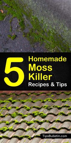 a sign that says homemade moss killer recipes and tips on the side of a building