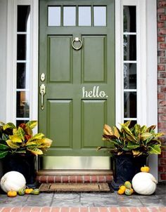 two potted plants are sitting on the front steps next to a green door with pumpkins and gourds