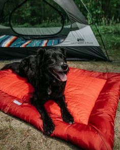 a large black dog laying on top of a red pillow in front of a tent