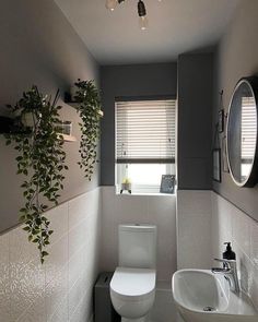 a white toilet sitting next to a sink in a bathroom under a window with plants growing on the wall