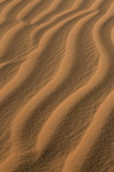 the sand is very thin and brown in color