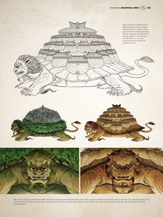 an image of some animals that are in different stages of life on the same page