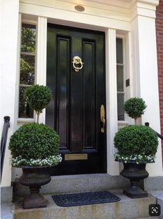 two potted plants are on the front steps of a house with black doors and windows