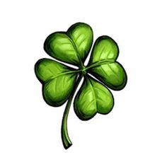 a green four leaf clover on a white background