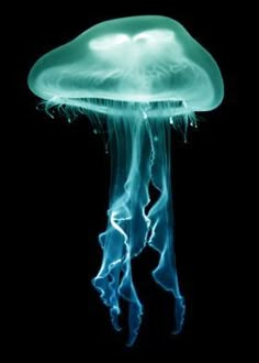 a green jellyfish floating in the dark water