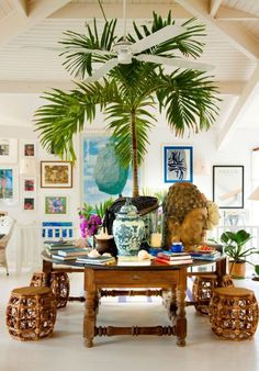 a living room filled with furniture and a large palm tree in the middle of it