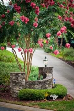 pink flowers are blooming on the trees and bushes in front of a driveway with a stone wall