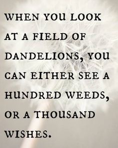 a dandelion with the words when you look at a field of dandelions, you can either see a hundred weeds or a thousand wishes