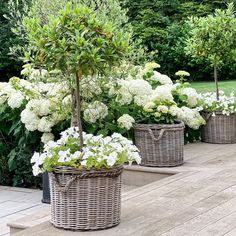 three wicker baskets filled with white flowers and greenery on a wooden decking area