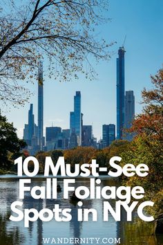 the city skyline with text overlay that reads 10 must see fall foliage spots in nyc