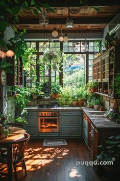 an open kitchen with lots of plants in it