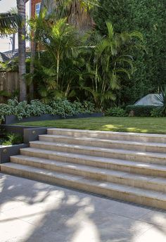 the steps lead up to an outdoor garden area with palm trees and bushes in the background