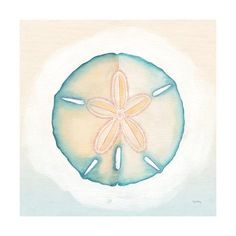 a drawing of a sand dollar on the beach