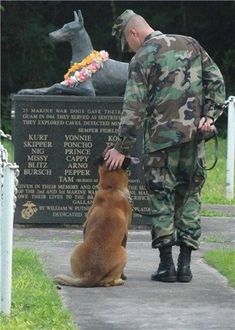 Foto Tips, Dog Memorial, Working Dogs, Doberman