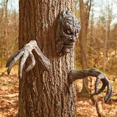 a creepy looking tree in the woods with its arms and legs wrapped around it's face