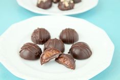 several pieces of chocolate on a white plate