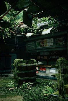 an abandoned building with moss growing all over the floor and walls, in front of a green roof