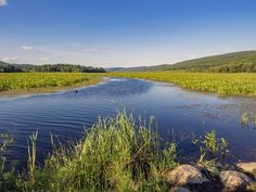 a river running through a lush green countryside