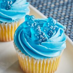 two blue frosted cupcakes on a white plate