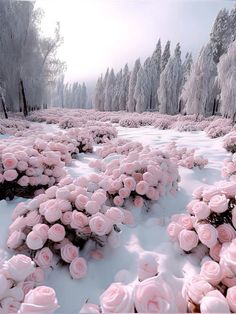 pink flowers in the snow surrounded by trees