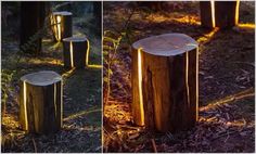 three different views of wood stumps in the woods, one is lit up and the other has been cut down