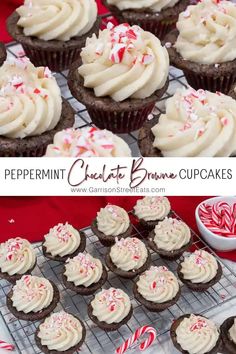 peppermint chocolate brownie cupcakes with white frosting and sprinkles