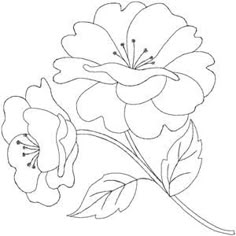 a drawing of two flowers on a white background