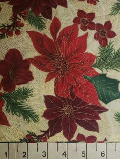 a red and green poinsettia flower on white background with measuring tape next to it