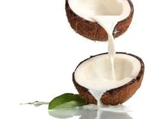 Coconut Delight, Vanilla Scents, Tender Coconut, Coconut Fragrance, Coconut Beach, Tropical Fragrance, Designer Fragrance, Candle Fragrance Oil, Make Candles