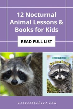 two pictures of raccoons with the title 12 nocturn animal lessons and books for kids