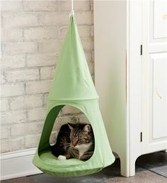 a cat laying in a green kitty bed hanging from a white brick wall next to a cabinet